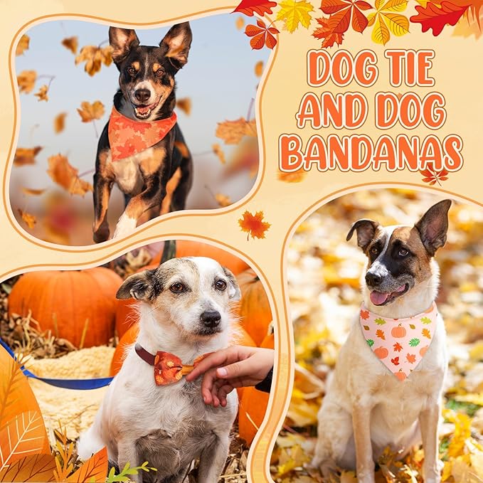 Sanwuta 100 Pcs Thanksgiving Fall Dog Bandanas Bulk and Collar Bow Ties Set 50 Autumn Bandanas 50 Fall Dog Collar Pet Maple Leaves Pumpkin Triangle Pet Scarf Bowtie for Small Medium Large Costume