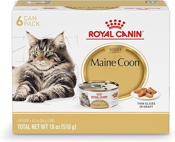Royal Canin Feline Breed Nutrition Maine Coon Adult Thin Slices in Gravy Cat Food, 3 oz (Pack of 6)