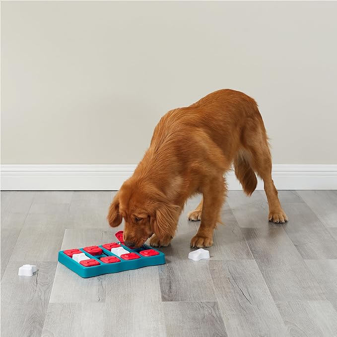 Outward Hound by Nina Ottosson Dog Brick Treat Puzzle Enrichment Toy, Level 2 Intermediate Game, Blue