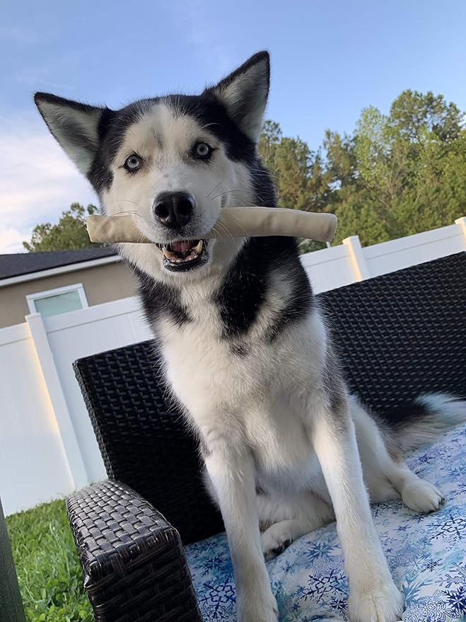 hotspot pets 8-9 Inch Large Rawhide Dog Chew Rolls (20 Pack) - Made from Grass Fed Cows - Great for Dental & Oral Care for Aggressive Chewers Large Dogs, Single Ingredient Treat