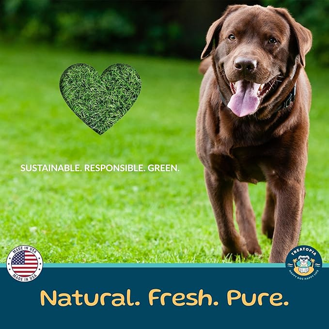 Beef Lung Nuggies Dog Treats, 4 LB Bag - All-Natural, Sustainable, Healthy, High Protein, Hand-Trimmed, Slow-Roasted, Made in The USA, Nutritious, No Additives, No Fillers