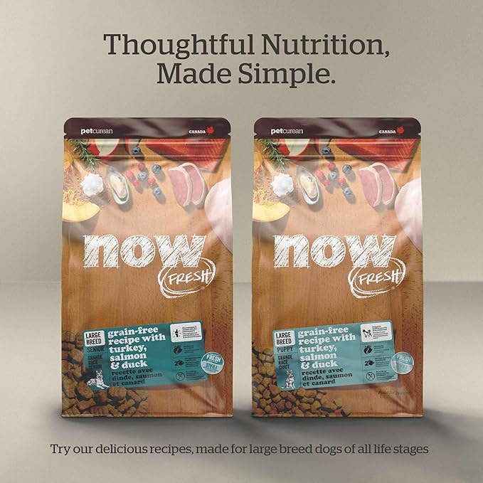 Now Fresh Grain-Free Large Breed Dry Dog Food with Turkey, Salmon & Duck, Premium Kibble for Adults Made with Real Meat & Fish, Chicken-Free, Glucosamine & Chondroitin for Healthy Joints, 25 lb Bag