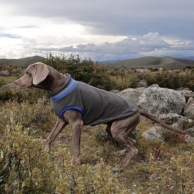 Lelepet Fleece Dog Sweater Zip Up Dog Fleece Jacket Reflective Warm Sweatshirt for Cold Weather Soft & Lightweight Pet Sweater Vest for Puppy Small Medium Large Dogs(XS-3XL)