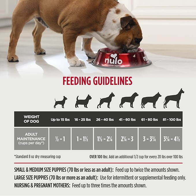 Nulo Freestyle Limited Ingredient Lamb Recipe Dry Kibble Dog & Puppy Food, 5.5 Pound Bag