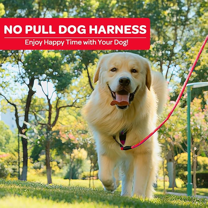 FURRYFECTION Dog Harness | No Pull Dog Harness | Reflective Oxford | Padded Handle | 4 Adjustable Straps | 2 Leash Clips | No Choke Pet Vest Harness for Small Medium Large Dogs | Red | XL