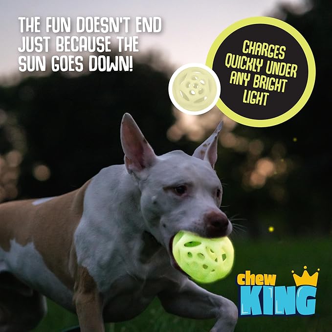 Chew King by Mammoth Glowing Fetch Ball, Dog Ball Toys, Large 2-Pack Lattice