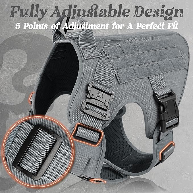 rabbitgoo Tactical Dog Harness for Small, Heavy Duty Pet Harness with Handle, No-Pull Service Vest Small Breed, Adjustable Military Dog Vest for Training Hunting Walking, Grey, S