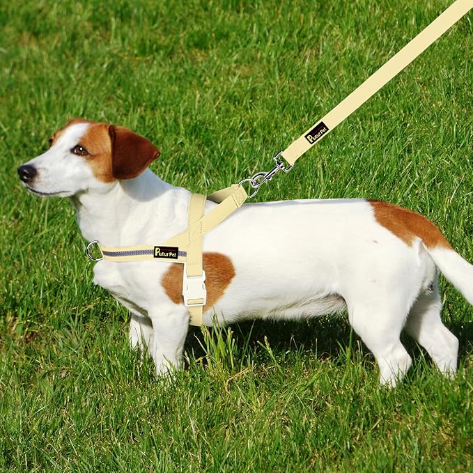 Plutus Pet Cotton Dog Harness and Leash Set, Reflective and Soft Padded, Quick Fit Vest Harness, for Small, Medium and Large Dogs, Light Yellow, XS
