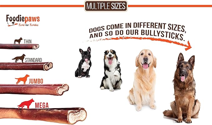 FOODIEPAWS 12 Inch Jumbo Bully Sticks for Dogs, 10 Pack Bulk | All Natural, Grass-Fed Beef | Rawhide-Free, Odor-Free, Fully Digestible & Long Lasting Dog Chews | for Large Breeds & Aggressive Chewers