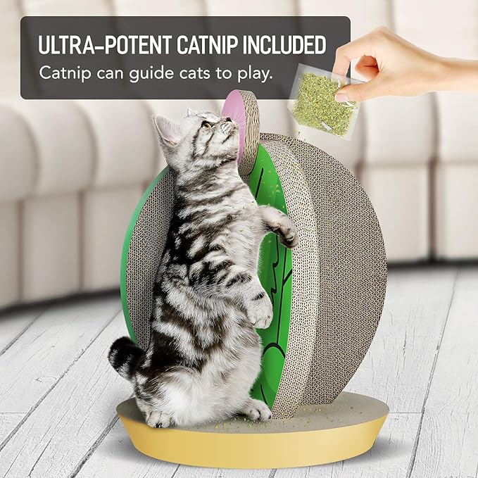 Cat Condo Scratcher Post Cardboard, Cactus Shape Cat Scratching House Bed Furniture Protector, Green Colour