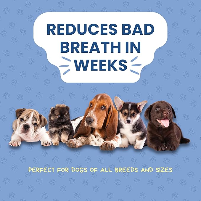 Dog Dental Powder | All-Natural for Teeth Cleaning | Plaque Remover for theeth and Breath freshener | Flavorless, Easy to Use | 3.17 oz - 45 supplys | Smile 2 Life