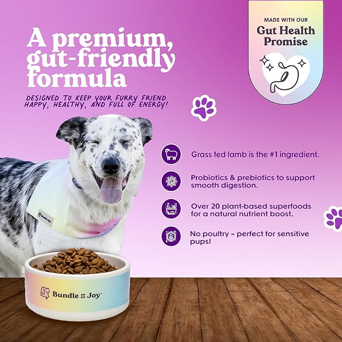 Bundle x Joy Brave Probiotic Dog Food Dry, Lamb, 18lb Bag, Natural Grain Free Adult Kibble for Digestive Health Made with Real New Zealand Lamb, 20 Plant Based Superfoods, Corn, Poultry & Soy Free