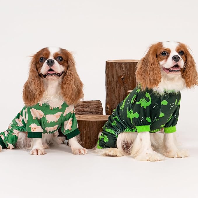 Fitwarm Dinosaur Dog Fleece Pajamas, Warm Clothes for Small Dogs Boy, Cozy Pet Onesie with Feet, Dark Green, Bright Green, Small