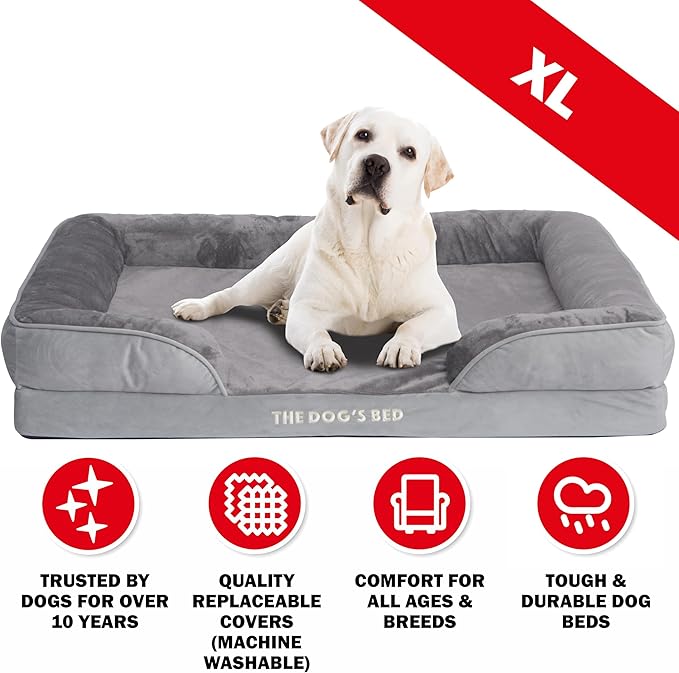 The Dog’s Bed, Orthopedic Standard Foam Waterproof Dog Bed with Standard Support, XL Silver Grey Plush, Waterproof, Supportive Dog Bed with Replaceable Covers