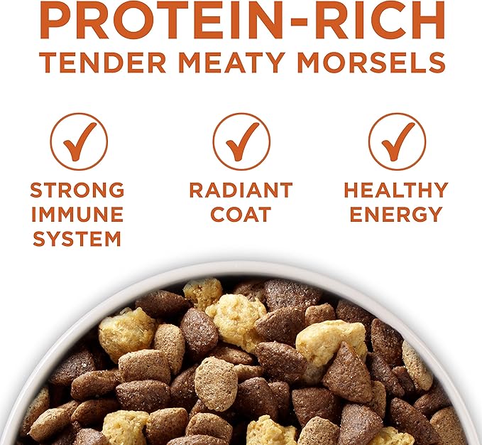 Purina ONE Plus Healthy Weight High-Protein Dog Food Dry Formula - 8 lb. Bag