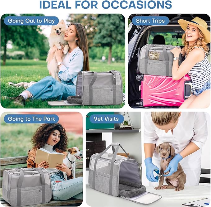 JUNGYOUN Premium Cat Carrier - Pet Carrier for Cat & Small Dogs up to 15lbs - Airline Approved Travel Dog Carrier with Anti-Escape Zippers, Collapsible Travel Bowl & Padded Strap,Grey