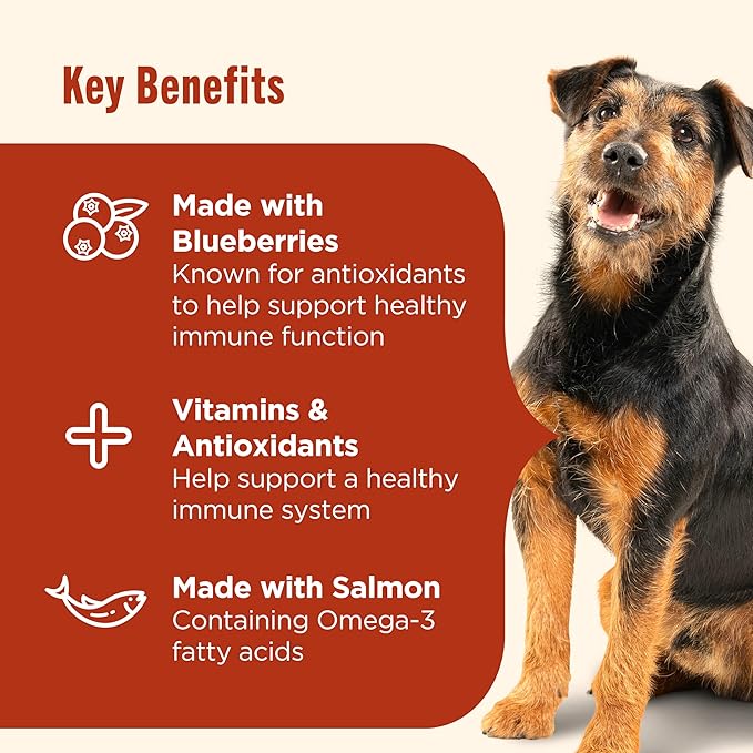 Nutrish Everyday Immune Support Dry Dog Food Chicken, Salmon, Blueberry & Pumpkin Recipe, 5.5 lb. Bag, 4 Count (Rachael Ray)