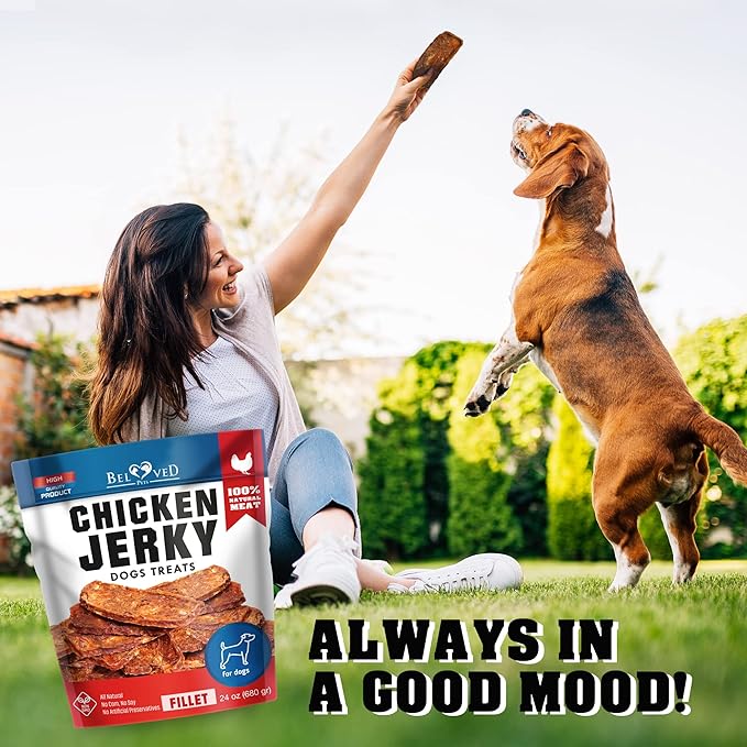 Chicken Jerky Dog Treats 1.5 Lb - Human Grade Pet Snacks & Grain Free Meat - All Natural High Protein Dried Strips - Best Chews for Training Small & Large Dogs - Bulk Soft Pack Made for USA