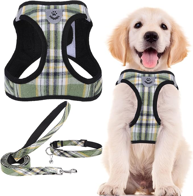 PUPTECK Adjustable Dog Harness Collar and Leash Set Step in No Pull Pet Harness for Small Medium Dogs Puppy and Cats Outdoor Walking Running, Soft Mesh Padded Reflective Vest Harnesses, Grn&YLW, M