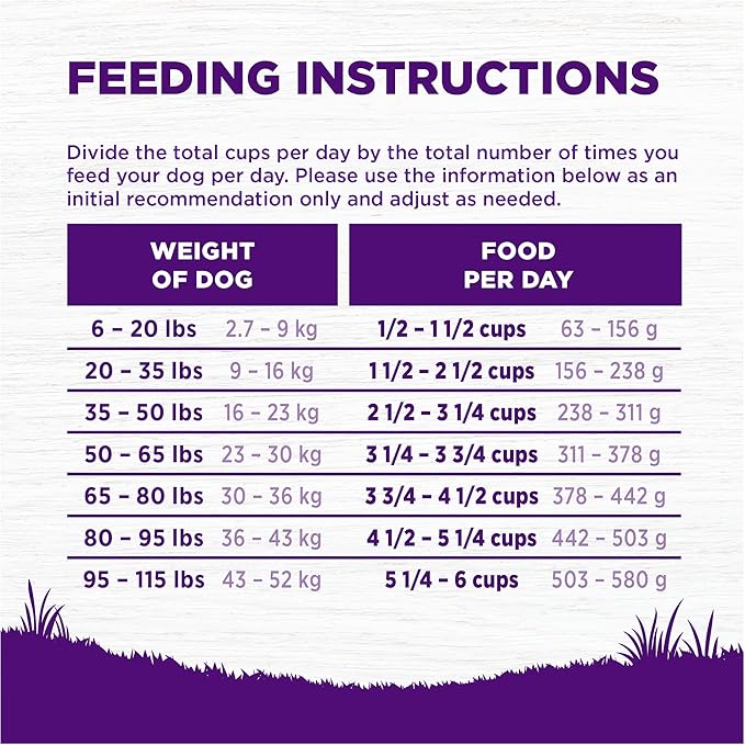 Wellness Complete Health Dry Dog Food, Wholesome Grains, Natural, Beef & Barley Recipe, (5-Poud Bag)