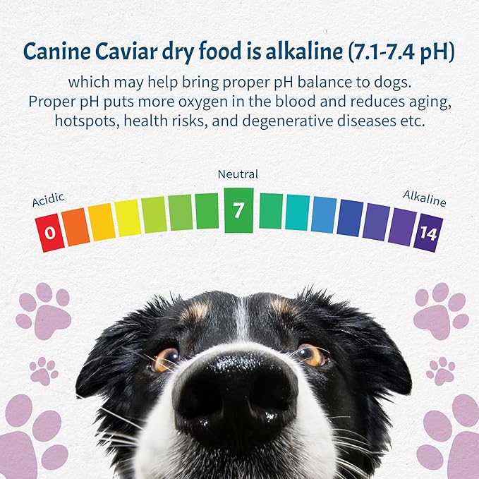 Canine Caviar - Leaping Spirit: Venison & Pearl Millet Alkaline Dry Dog Food, Limited Ingredients, Gluten-Free, Based on Science & Research, Veterinary Alternative Diet (4.4 Pound Bag)