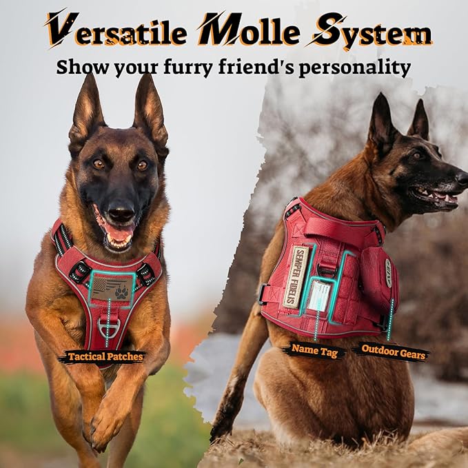 rabbitgoo Dog Harness Small Sized No Pull, Tactical Service Pet Vest with Molle and Control Handle, Adjustable and Reflective Military Harness for Easy Walking and Training, Red, S