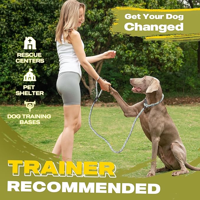 Fida Durable Slip Lead - 6 FT x 3/8" Heavy Duty Dog Loop Leash for Small Dogs and Puppies, No Pull Pet Training Leash with Highly Reflective Stitching (Grey)