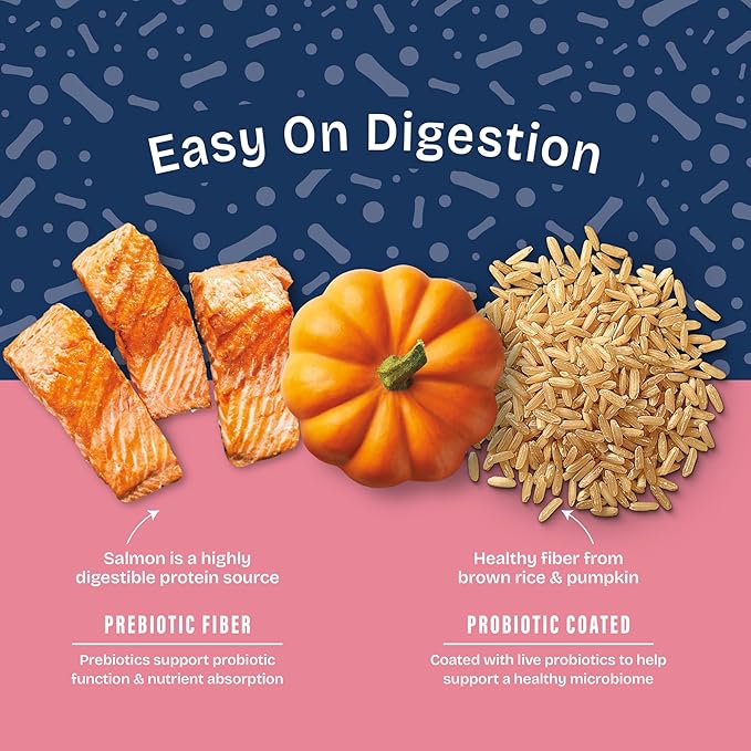 Natural Balance Health Protection Dry Dog Food – Whole Body Health, Easy on Digestion Dog Food Made with Salmon, Brown Rice & Pumpkin for Dogs - 4lbs.