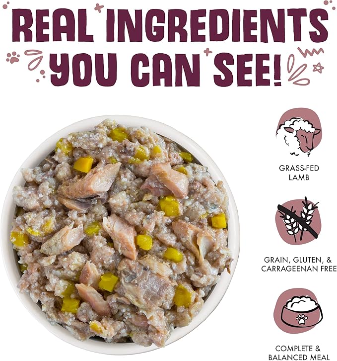 Weruva Classic Dog Food, Hot Dayam! with Lamb in Gelée, 5.5oz Can (Pack of 24)