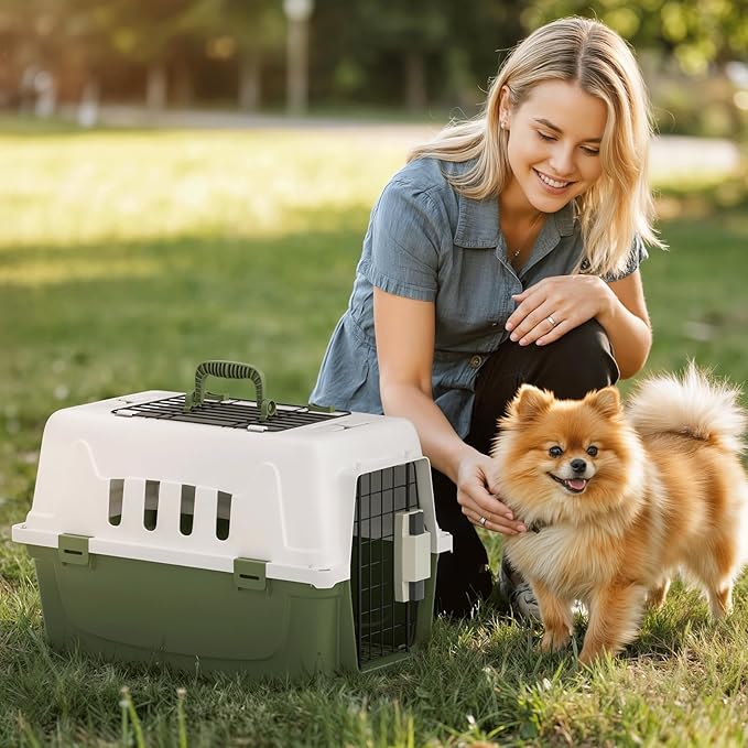 Magshion 18 Inch Pet Carrier Hard-Sided Dog Carrier with Top and Front Door Access, Plastic Dog Kennel for Longer Traveling, Durable Handle and 4 Sides Ventilation for Pet Up 10 lbs (White+Green)