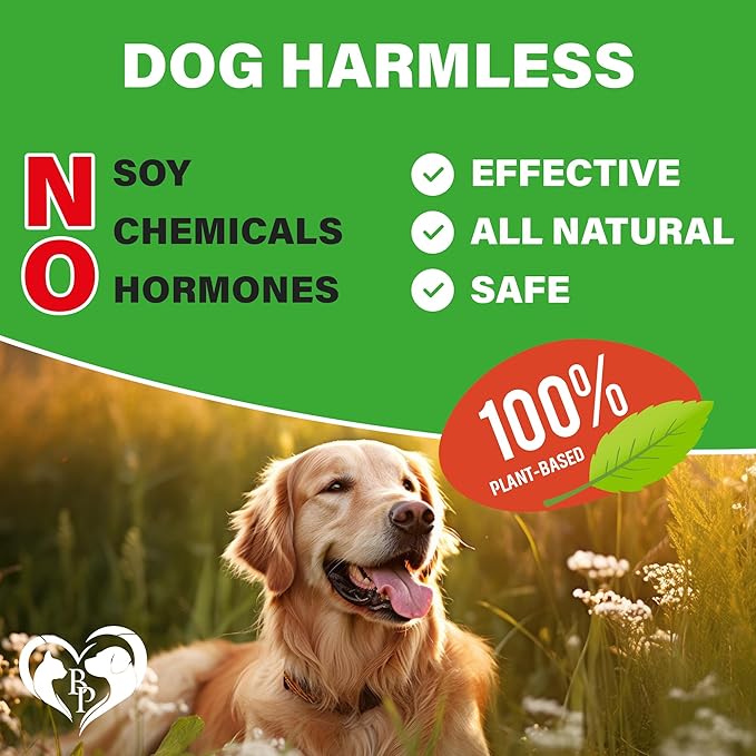 Dog Hip and Joint Supplement & Arthritis Pain Relief Treats - Glucosamine Chondroitin MSM Soft Chews for Senior Dogs - Natural Medicine & Support Mobility - Turmeric Vitamins for Dysplasia - USA