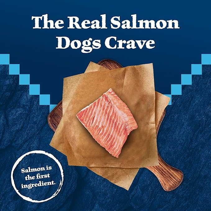 Blue Buffalo Wilderness Trail Treats Crunchy Dog Biscuits, Grain-Free and High-Protein Dog Treats Made with Natural Ingredients, Salmon Recipe 24-oz Bag