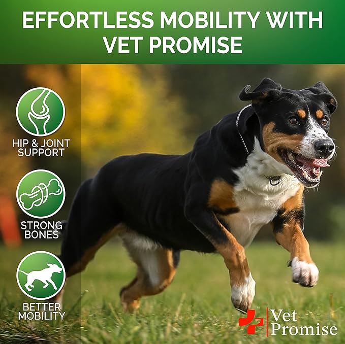 Vet Promise Hemp Hip and Joint Support Supplement for Dogs - Glucosamine for Dogs - Hemp Oil, MSM, Chondroitin - Support for Joint Pain Relief and Health - 120 Soft Chews - Made in USA