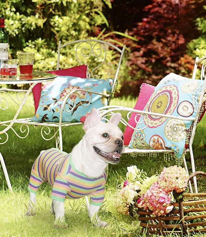 TONY HOBY Dog Pajamas, Male Dogs Pajama Clothes with Rainbow Stripe, Dog 4 Legged Jumpsuit Knit Clothes for Small Medium Size Dogs (Green&Yellow, Boy, M)