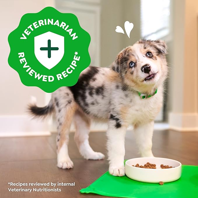 Greenies Smart Essentials Puppy High Protein Dry Dog Food Real Chicken & Brown Rice Recipe, 13.5 lb. Bag