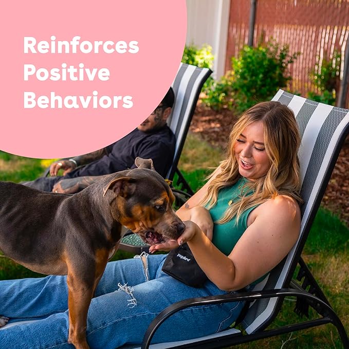 Pupford Freeze Dried Training Treats for Dogs & Puppies, 1400+ Two Ingredient Bites (Salmon, 4 oz, 3 Pack)