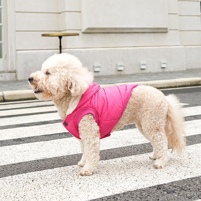 Fleece Lining Extra Warm Dog Hoodie in Winter,Small Dog Jacket Puppy Coats with Hooded Pink S