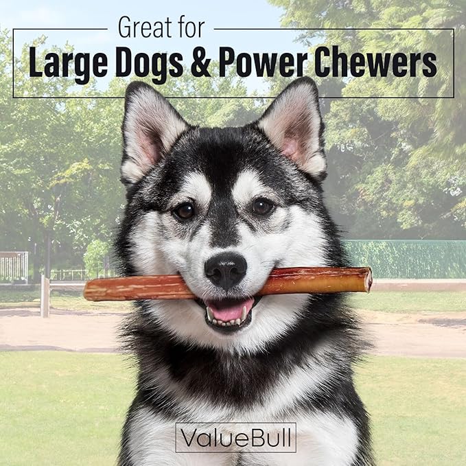ValueBull Bully Sticks for Large Dogs, Jumbo 12 Inch, 25 Count - All Natural, Grass Fed, Single Ingredient, Long Lasting Dog Treats for Aggressive Chewers