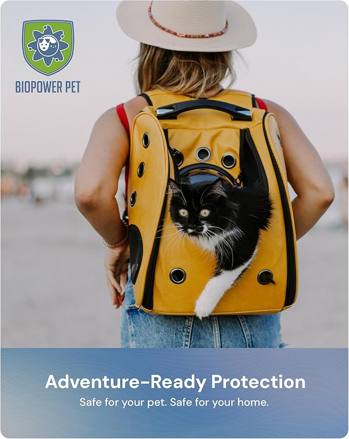 Natural Flea & Tick Repellent Collar Tag for Dogs & Cats – BioPower Pet Shield – Safe for Pets When Used as Directed – Lasts 1 Full Year - Small/Regular Tag Bundle (1 Pack)