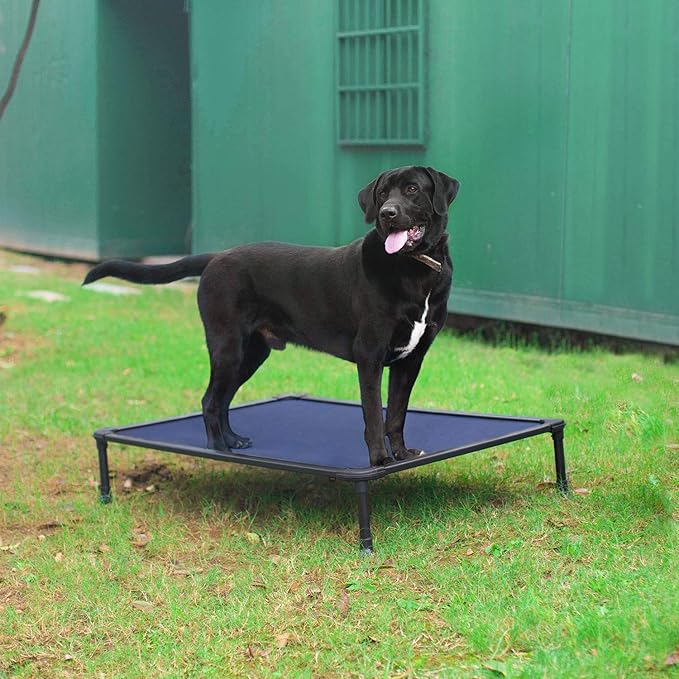 Veehoo Chew Proof Elevated Dog Bed - Cooling Raised Pet Cot - Rustless Aluminum Frame and Durable Textilene Mesh, Unique Designed No-Slip Feet for Indoor or Outdoor Use, Blue, Large, CWC2002