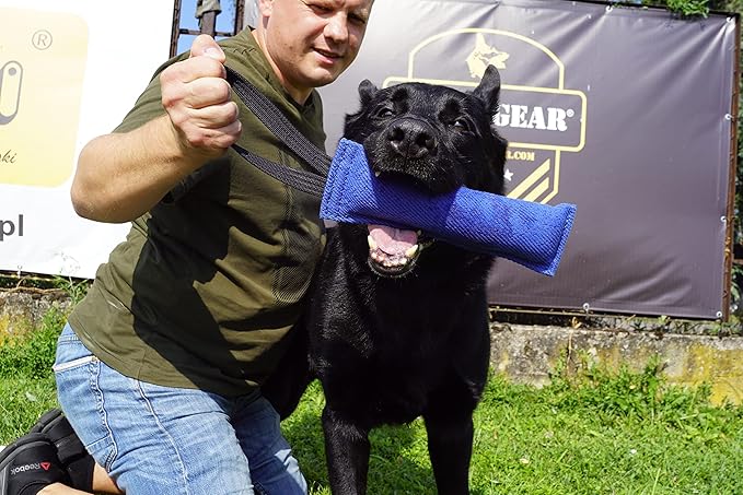 Dingo Gear French Linen tug Toy for Dog, Dog Bumper for Training, Agility, tug of war, Dog bite Pillow for Strong Dog, 1handle 11" Black S00073