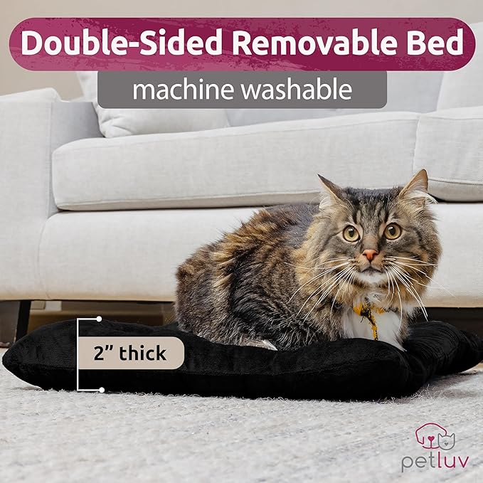 Soft-Sided Cat & Dog Pet Carrier, Large 24"x16"x16", Fits Large Cat, 2 Cats, or Medium Dog Comfortably, Great for Travel & Vet Visits, Privacy Windows, Removable Bed, Locking Zippers, Folds Flat