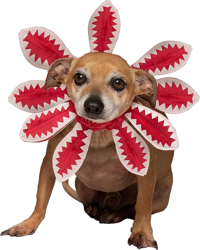 ComfyCamper Red Flower Dog Costume - X Large Medium Small French Lab Retriever Shepherd Pet Cosplay Halloween Costumes (Small)