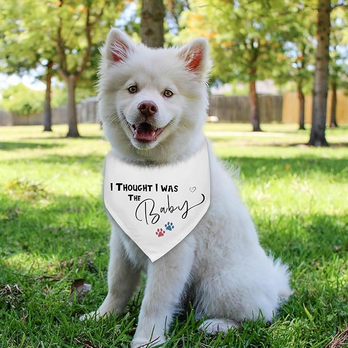 I Thought I was The Baby Pregnancy Announcement Dogs Bandana White Triangle Scarf Dog Bandana Baby Announcement Photo Prop Pet Scarf Accessories for Pet Dog Lovers Gifts