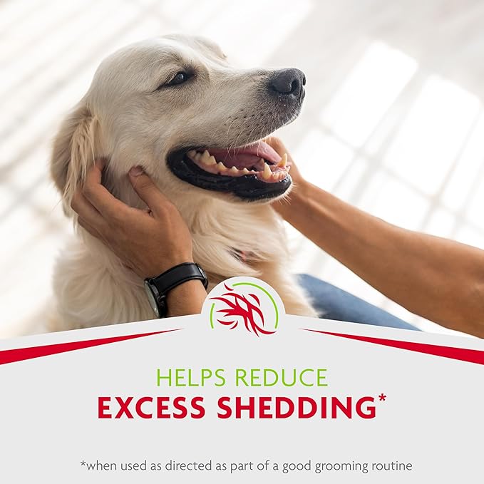 FURminator Tub-Free Deshedding Foam Comb, 3 Ounces, Grooming Comb for Dogs Helps Freshen Coat and Reduce Odors with No Rinsing