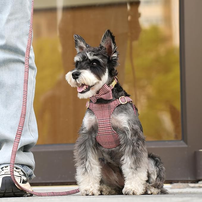 Beirui Cute Small Dog Harness Collar and Leash Set with Bowtie, Soft Adjustable Plaid Puppy Harness for Small Sized Dogs Cats Walks Parties and Photoshoots(Maroon,S:Chest 17-23")