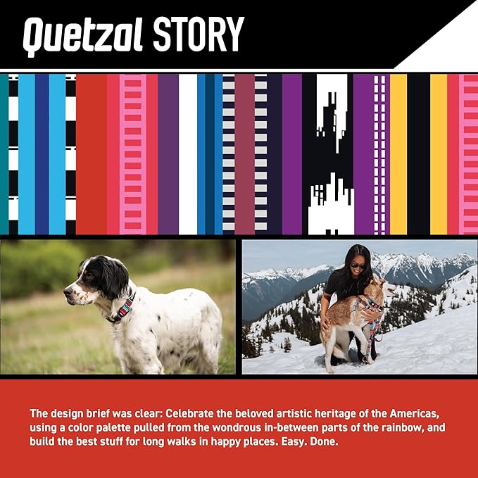 Wolfgang Heavy Duty Martingale Dog Collar with Quick Release Nylon Buckle for Walking & Training, Quetzal Print, Small