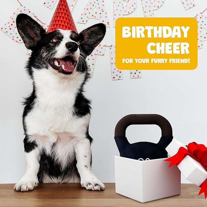 Kettlebell Parody Dog Toy – Funny Squeaky Dog Toys for Interactive Play and Training – Durable, Easy to Clean, Birthday Gifts for Small, Medium and Large Dogs