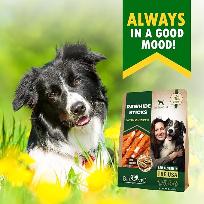 Dog Treats Rawhide Sticks 11 oz Wrapped with Chicken Pet Natural Chew Treats - Grain Free Meat & Human Grade Dried Snacks - Best for Small & Large Dogs (10.6 Ounce (Pack of 1), Rawhide Sticks)