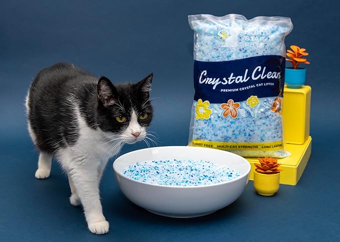 Crystal Clean Premium Fresh Scent Crystal Cat Litter with Odor Control (5X Faster), Best Lightweight, Non Clumping Kitty Litter to Absorb Urine, Dries Solid Waste (2X4.3 Lb Bags)